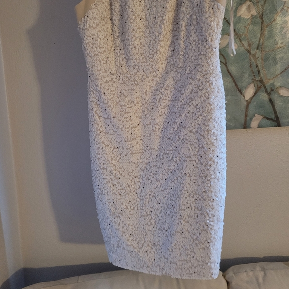 Ann Taylor size 8 beautiful dress - Picture 4 of 8